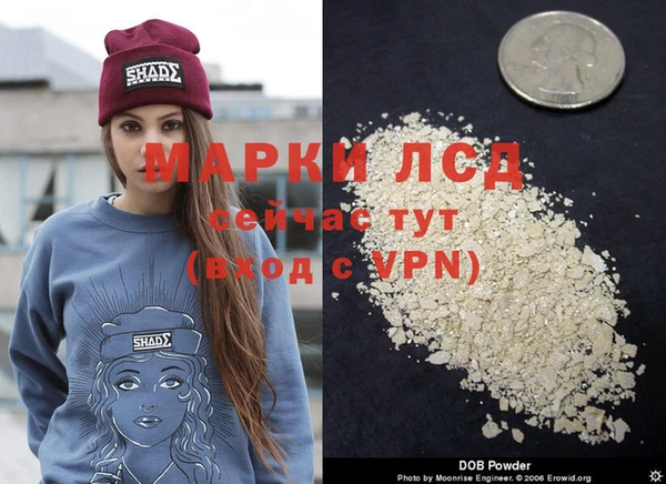 эйфоретик Липки