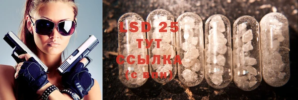 эйфоретик Липки